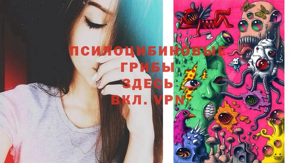 трава Бородино