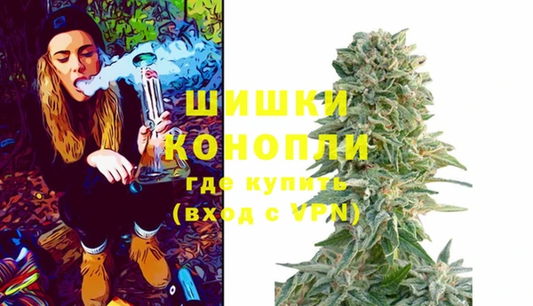 трава Бородино