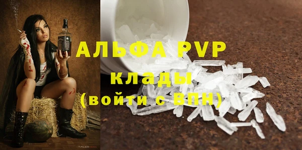 трава Бородино